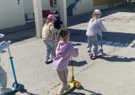 img (6)